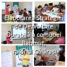 Elaborarea Strategiei de Dezvoltare Durabilă a comunei Bahmut, raionul Călărași